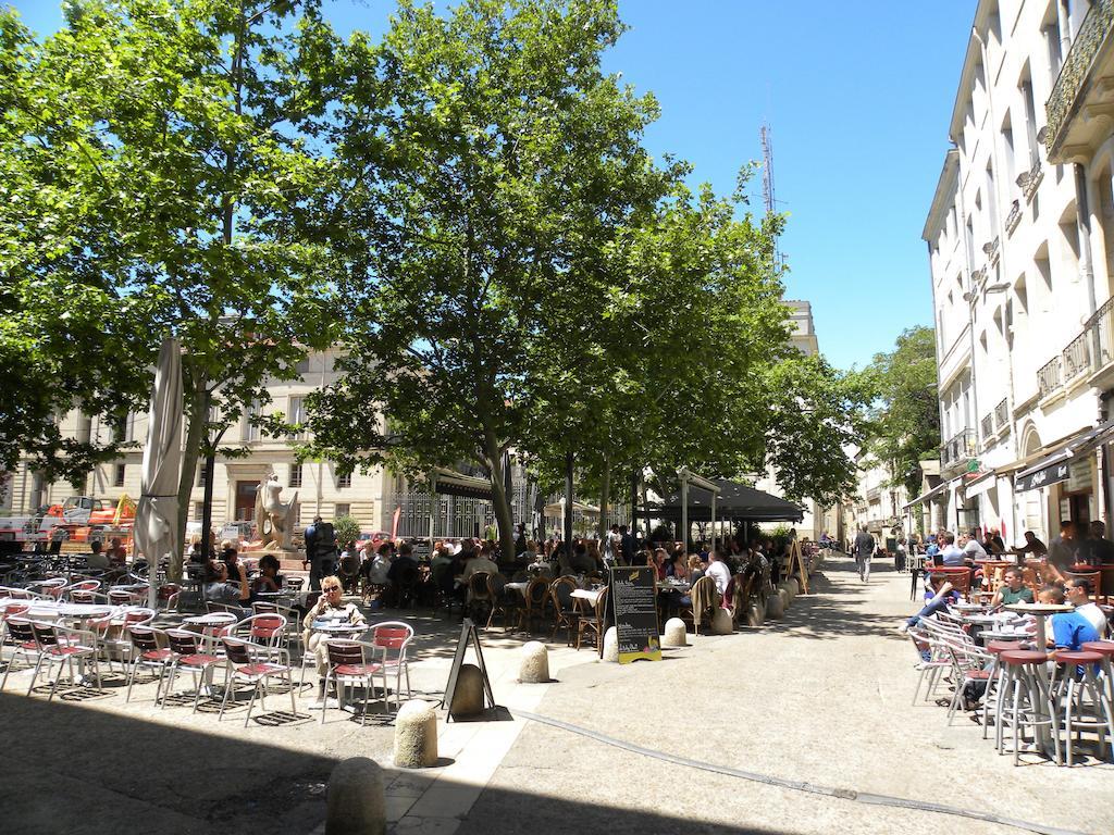 La Terrasse Du Marché Aux Fleurs Apartamento